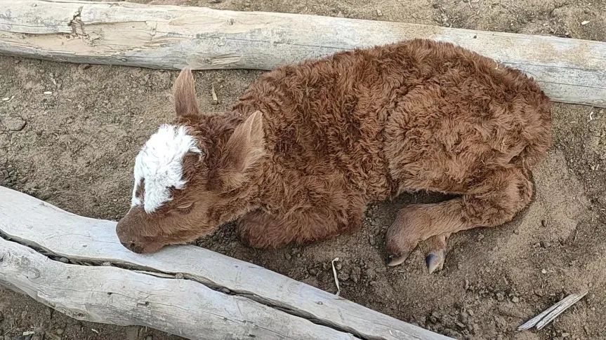 b981d13f415c1344f17814ac1b9501b1_640_wx_fmt=jpeg&wxfrom=5&wx_lazy=1&wx_co=1.jpg b981d13f415c1344f17814ac1b9501b1_640_wx_fmt=jpeg&wxfrom=5&wx_lazy=1&wx_co=1.jpg