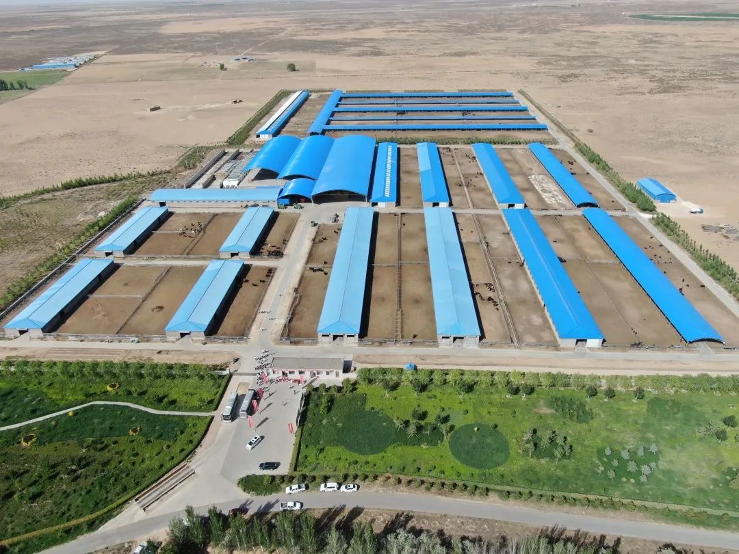 e03212d84adaace67d1abd23716e1a15_640_wx_fmt=jpeg&wxfrom=5&wx_lazy=1&wx_co=1.jpg e03212d84adaace67d1abd23716e1a15_640_wx_fmt=jpeg&wxfrom=5&wx_lazy=1&wx_co=1.jpg