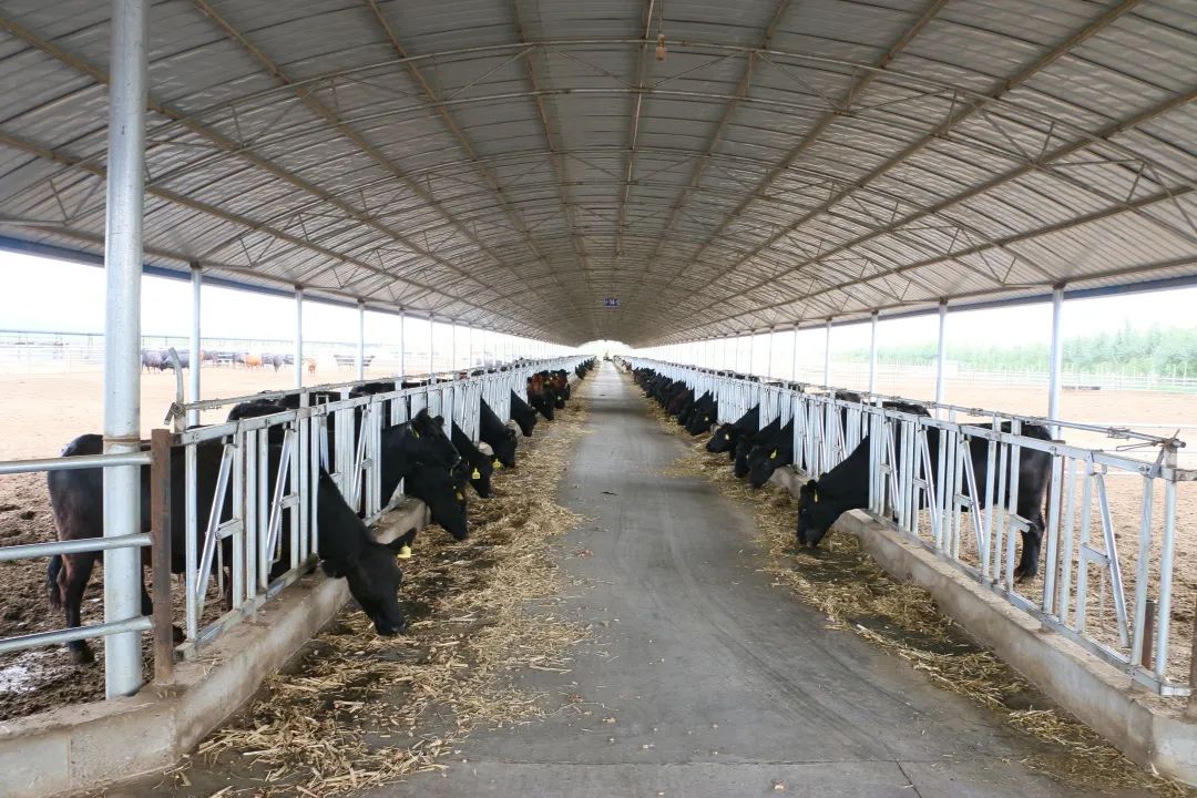 144f4ebc207ab9e9893b1f38f497bdce_640_wx_fmt=jpeg&wxfrom=5&wx_lazy=1&wx_co=1.jpg 144f4ebc207ab9e9893b1f38f497bdce_640_wx_fmt=jpeg&wxfrom=5&wx_lazy=1&wx_co=1.jpg