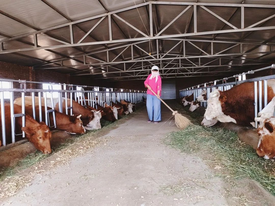 b1a5ca495016b76c3699d2b61b99bbbb_640_wx_fmt=jpeg&wxfrom=5&wx_lazy=1&wx_co=1.jpg b1a5ca495016b76c3699d2b61b99bbbb_640_wx_fmt=jpeg&wxfrom=5&wx_lazy=1&wx_co=1.jpg