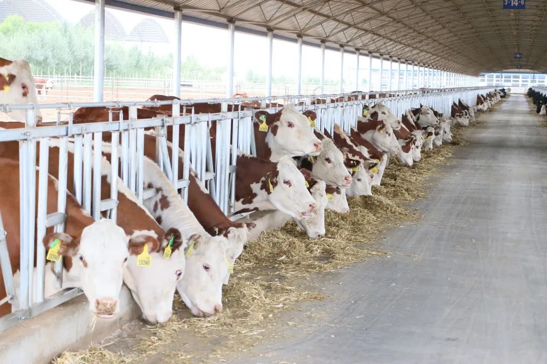 d5761238331fbfbfaa37866ff51ac067_640_wx_fmt=jpeg&wxfrom=5&wx_lazy=1&wx_co=1.jpg d5761238331fbfbfaa37866ff51ac067_640_wx_fmt=jpeg&wxfrom=5&wx_lazy=1&wx_co=1.jpg