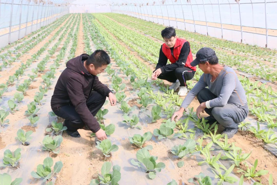 950e161c6ebf366ac30d79854e559ed2_640_wx_fmt=jpeg&wxfrom=5&wx_lazy=1&wx_co=1.jpg 950e161c6ebf366ac30d79854e559ed2_640_wx_fmt=jpeg&wxfrom=5&wx_lazy=1&wx_co=1.jpg