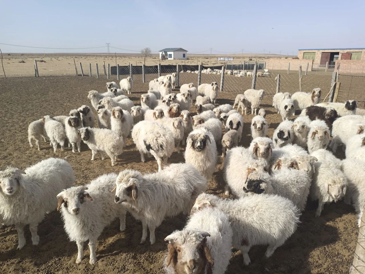 d60e1eb86047e915a9fce2d31c0e2802.jpg d60e1eb86047e915a9fce2d31c0e2802.jpg