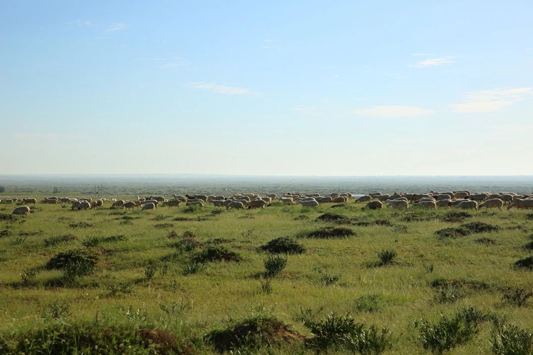 eda2615acbf08d5ab6918a69d3ca3e84.jpg eda2615acbf08d5ab6918a69d3ca3e84.jpg