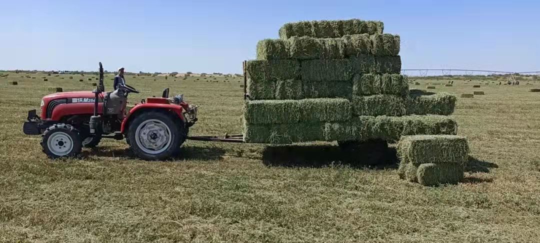 微信图片_202109291655512.jpg 微信图片_202109291655512.jpg