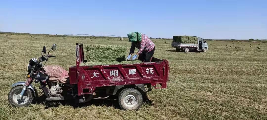 微信图片_202109291655513.jpg 微信图片_202109291655513.jpg